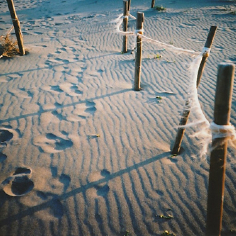 砂足跡