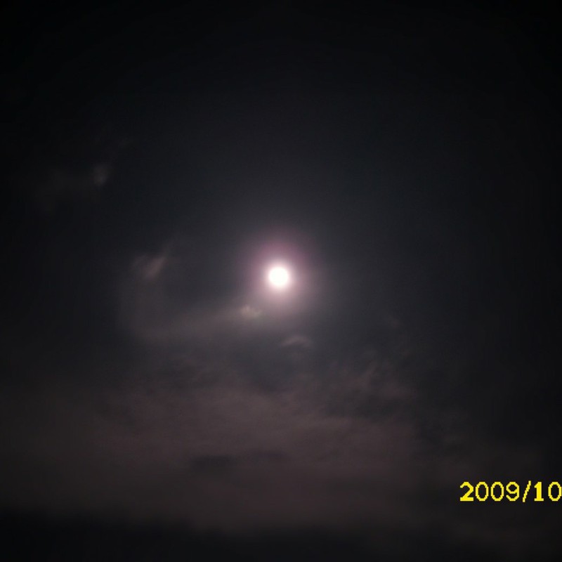 綺麗に撮れた月