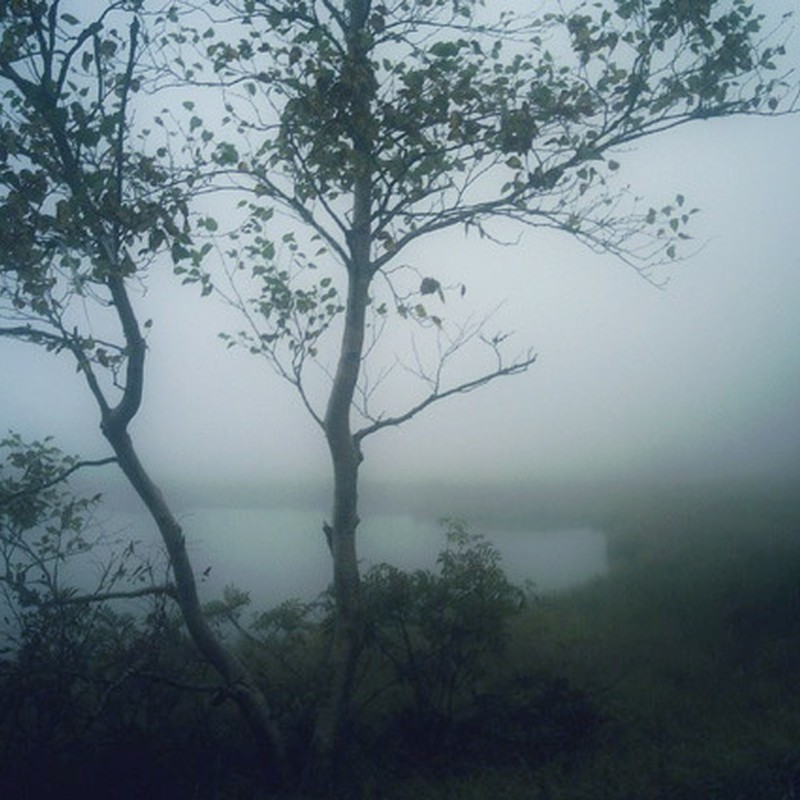 霧の水辺