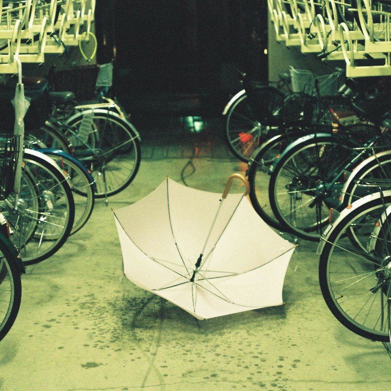 駐輪場の傘