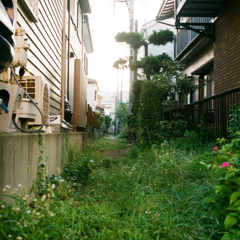 街のはずれの草生した路地を