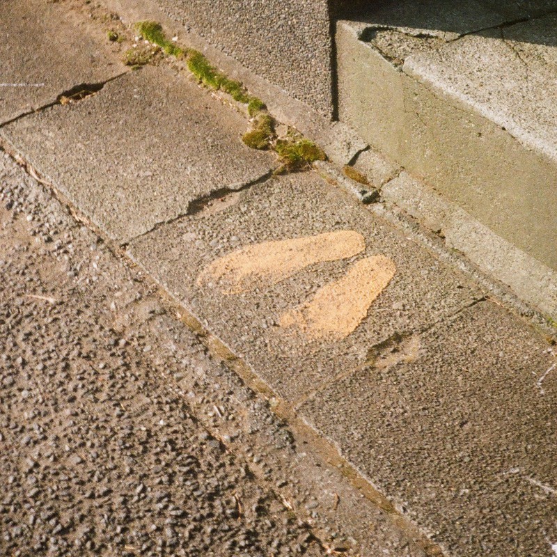 Mysterious Footprints