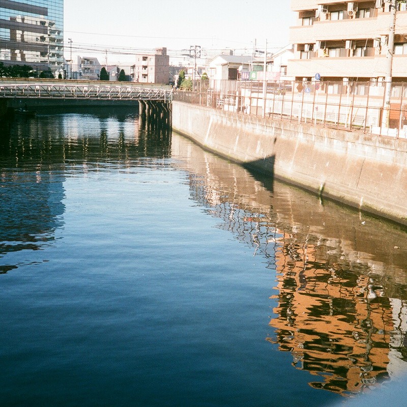 ゴジラが来た川