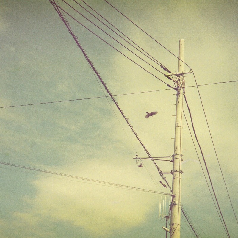 黄色い世界に遊ぶ