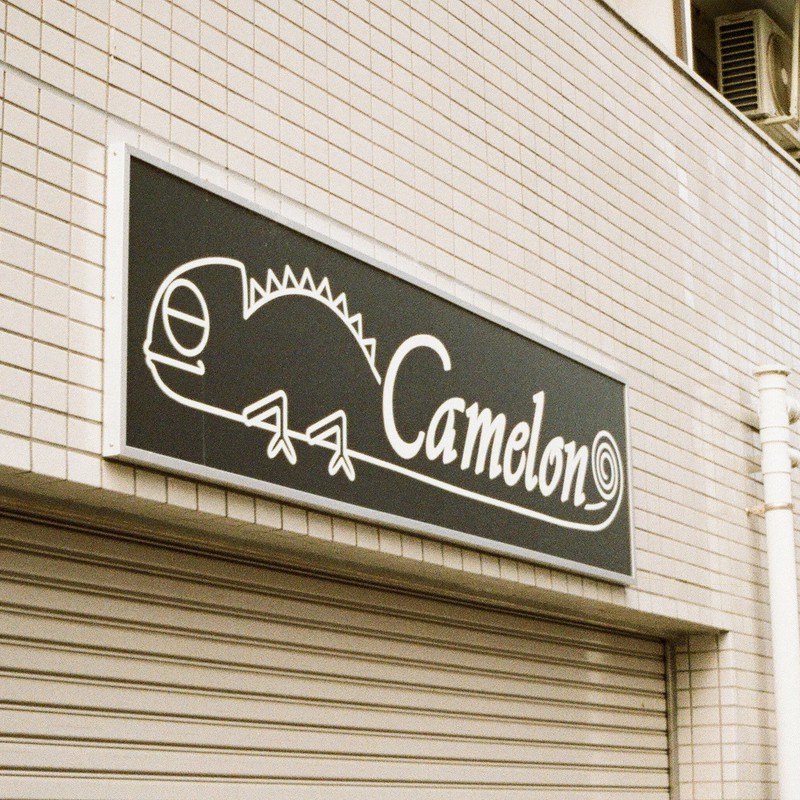 カメレオンではないのです