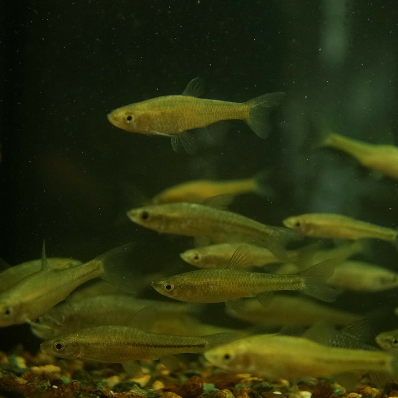 ( 」゚Д゚)」オーイ! みんないるか~?