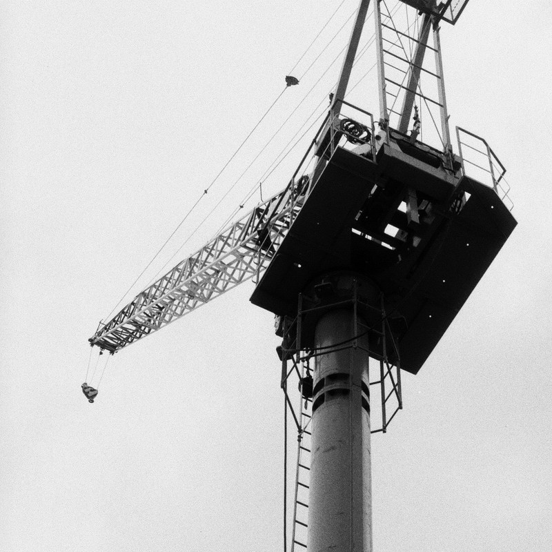 Monochrome Crane