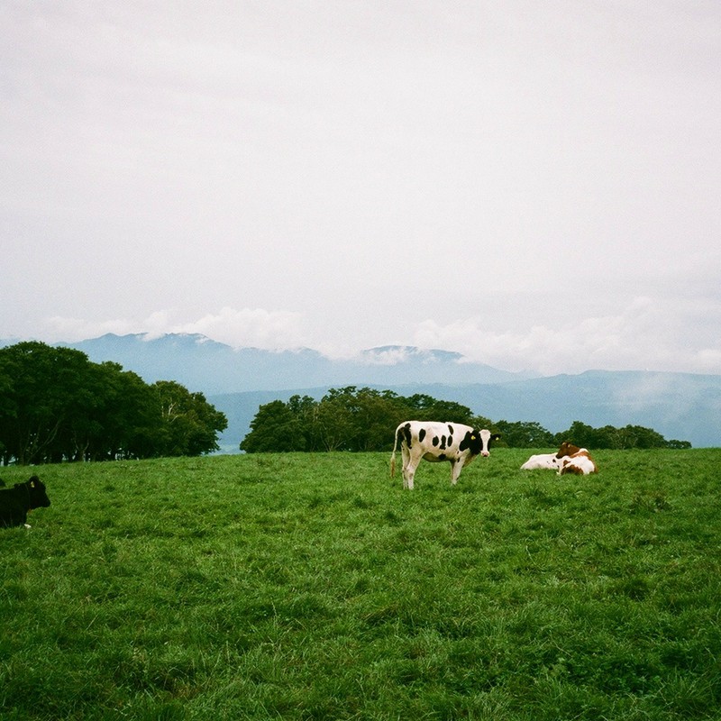 原子心母に憧れて