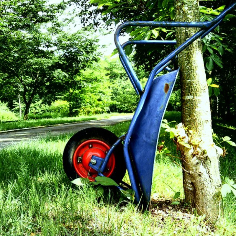 路肩に何気なく