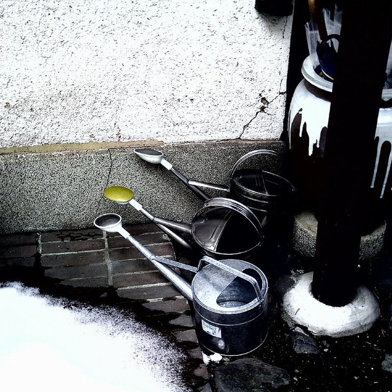 早く春来ないかなぁ