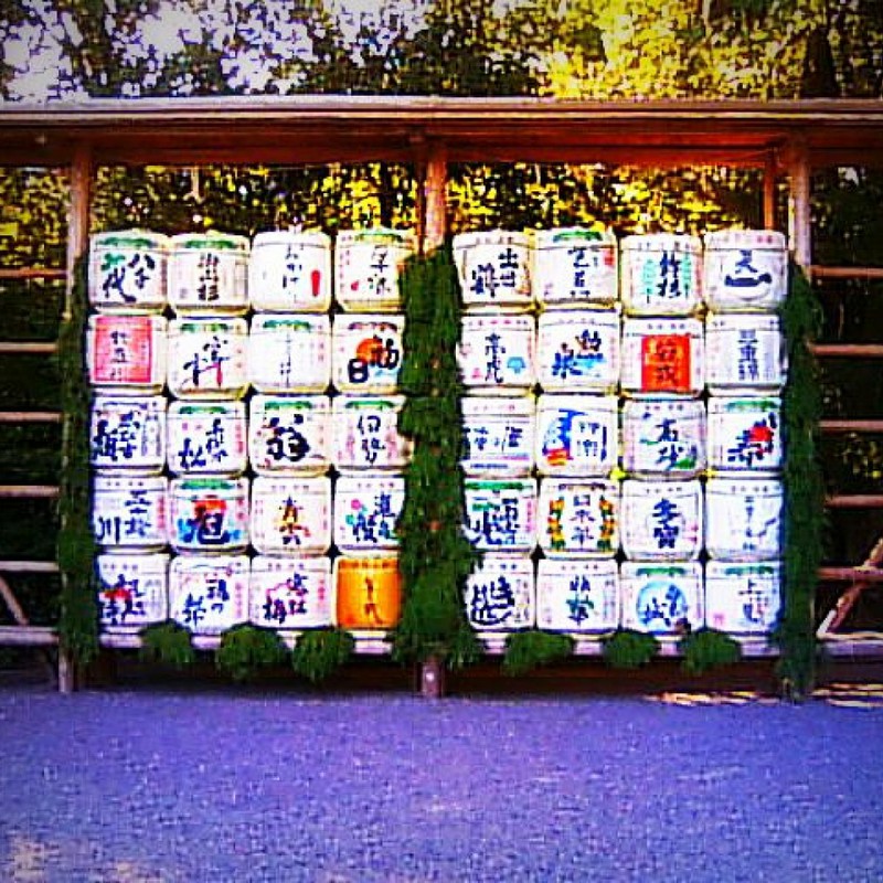 おすすめはどれかしら