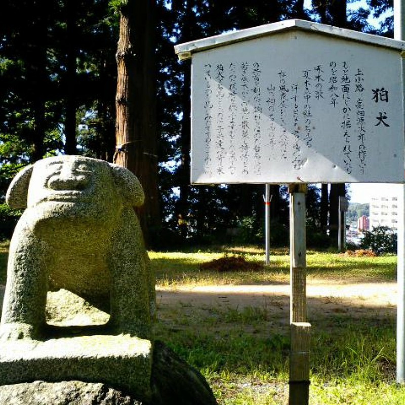 愛くるしいお顔