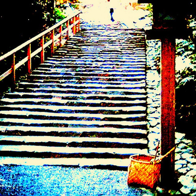 いつもお掃除ありがとう御座います