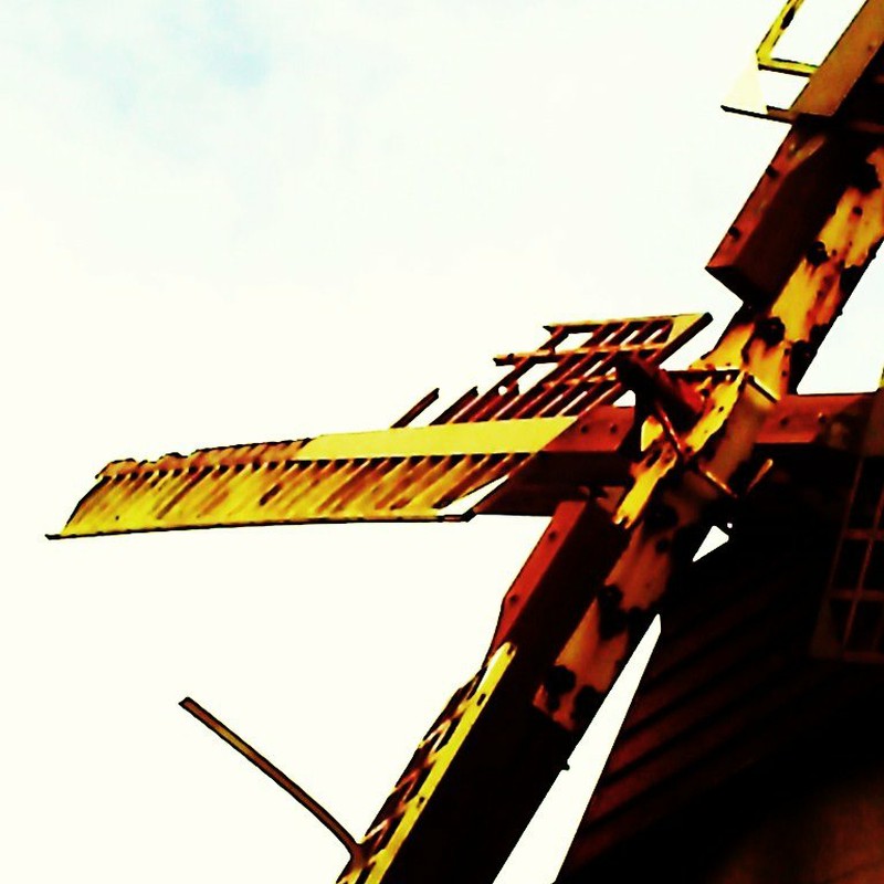 風が遊び場を探しているようです