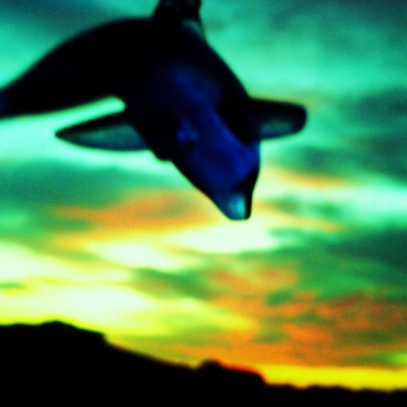 ふうりん そのに