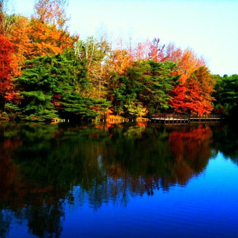 青と赤と変わる赤