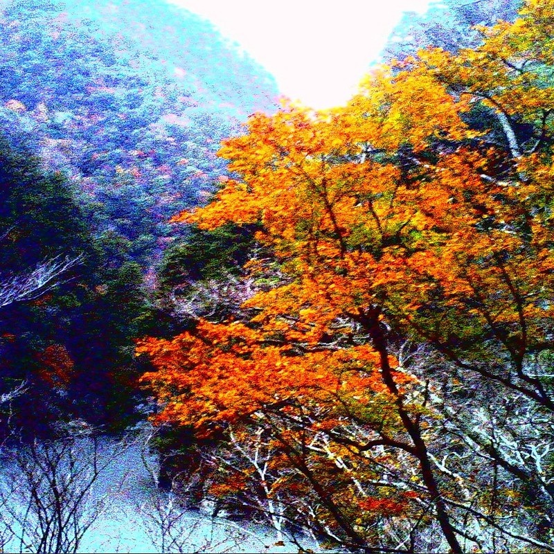 ダム湖の紅葉