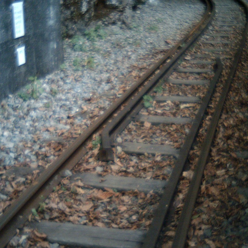 落ち葉と線路