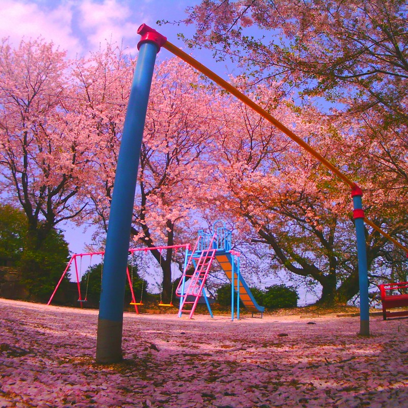 ピンク公園。