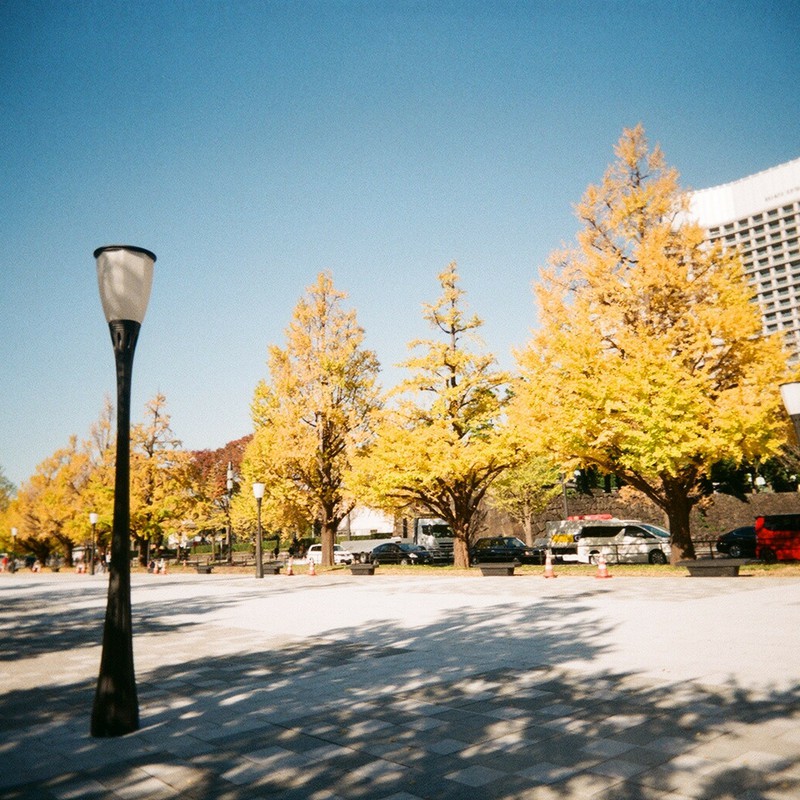 東京の秋