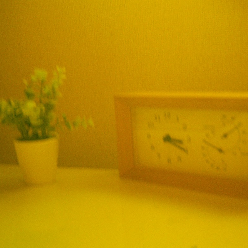 時計と観葉植物