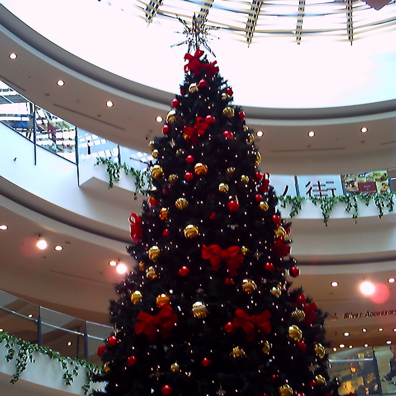 横浜ららぽーと☆クリスマスツリー