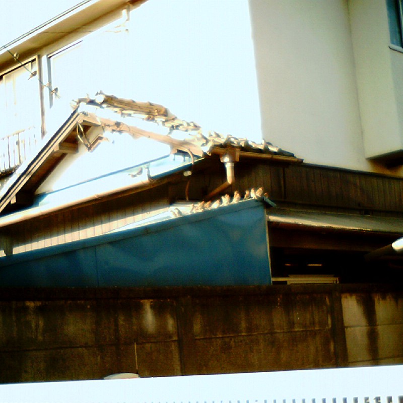 すずめがいっぱい!