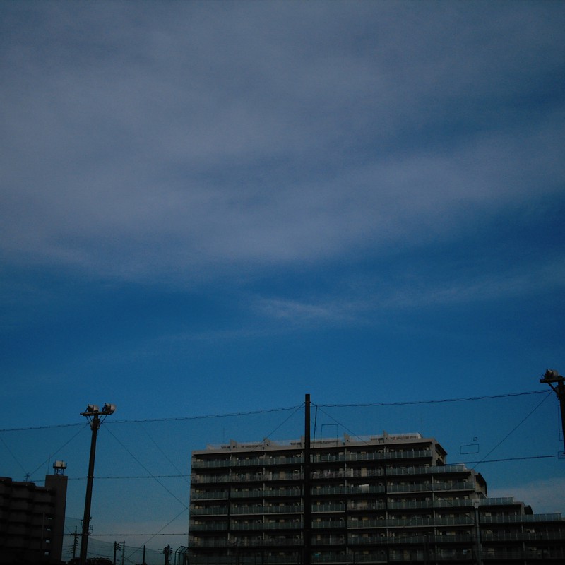 また、朝の空、やっぱ青い。