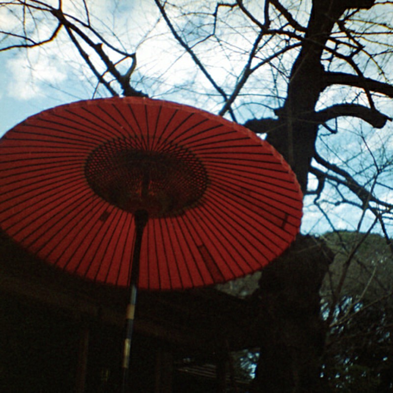 咲く傘