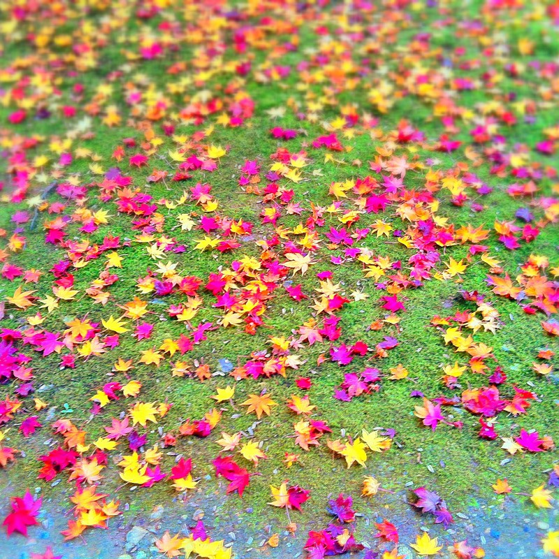 タマニハ シタ ヲ ミル ノモ ワルクナイ。