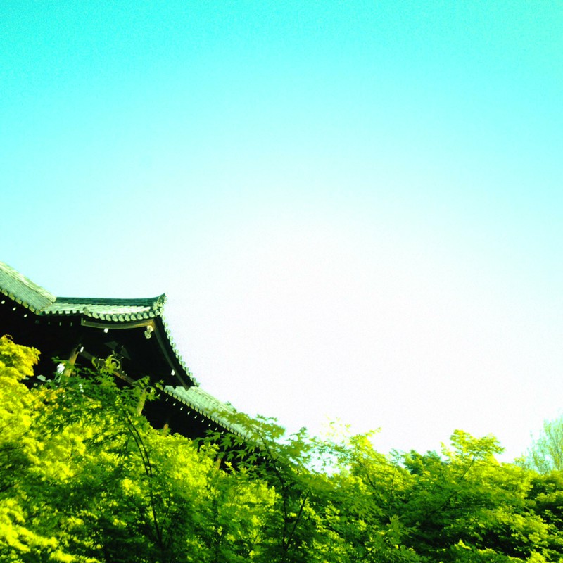空と緑と通天橋