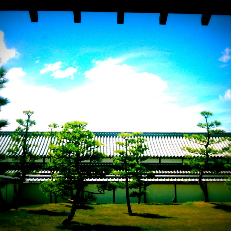 萩、映える空を眺めて。