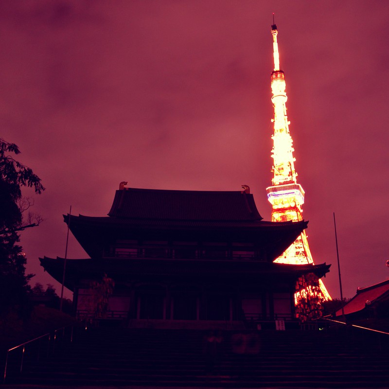 夜の増上寺