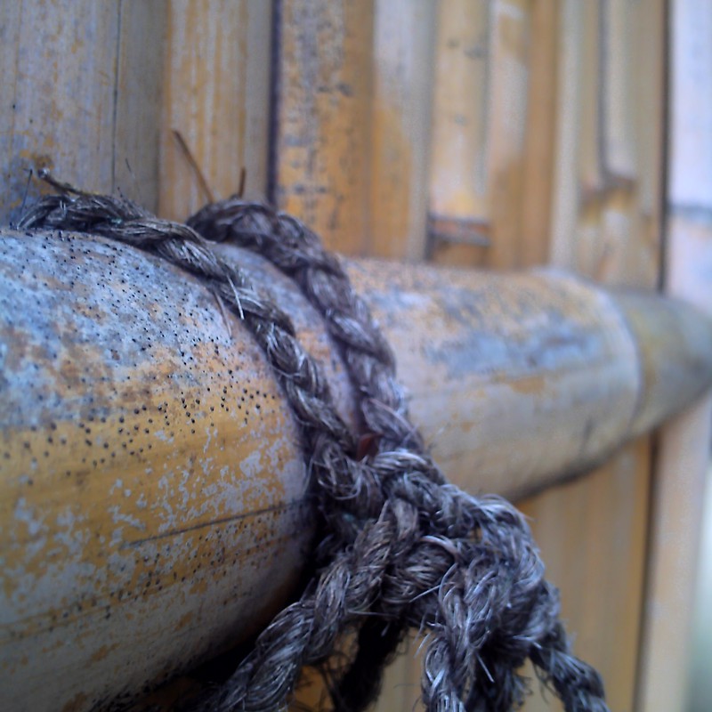 バンブーとロープ?