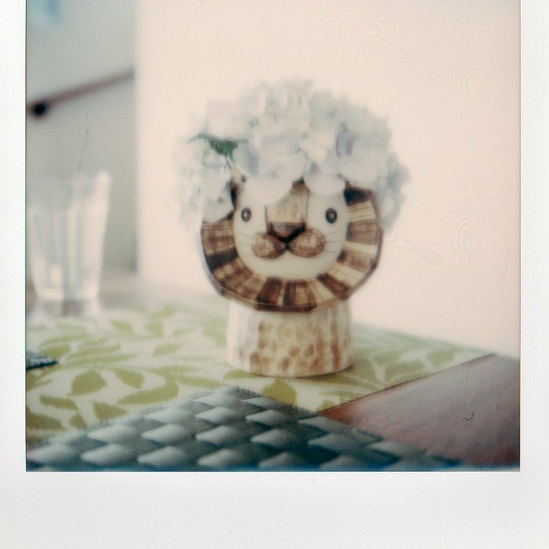 アフロライオン