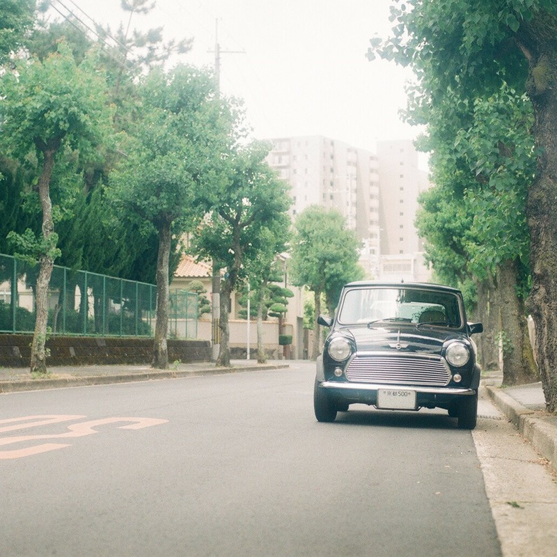 街路樹とミニ