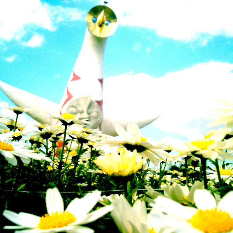 太陽の塔×マーガレット