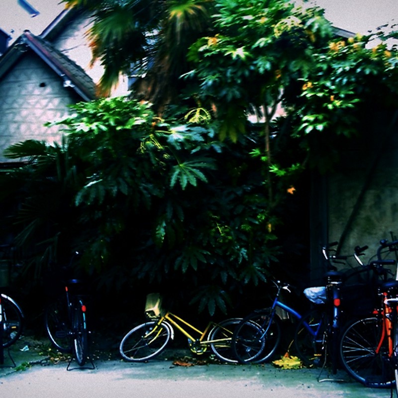 あばら家と自転車