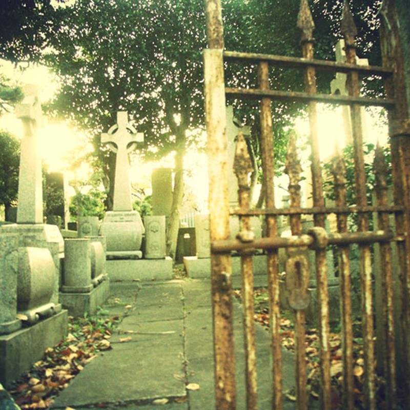 墓地の鉄柵