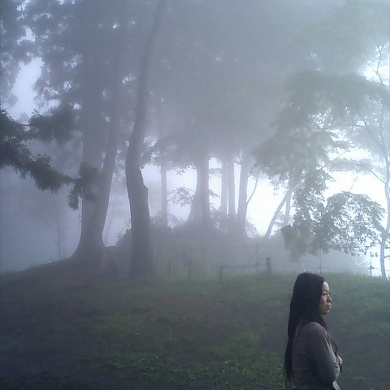 霧の中の女