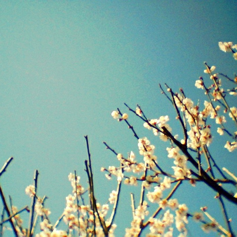 Spring has come