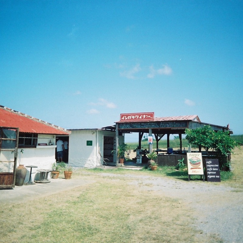 イシガキクイナ。