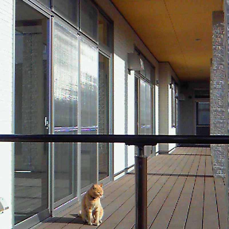 ひなたぼっこ。