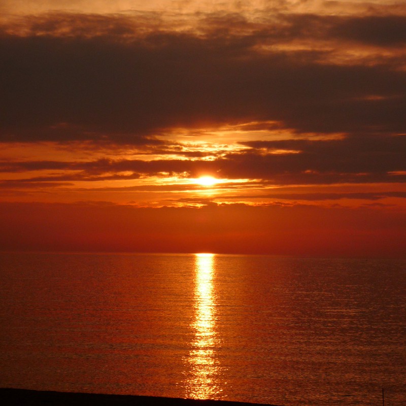 もえるような。