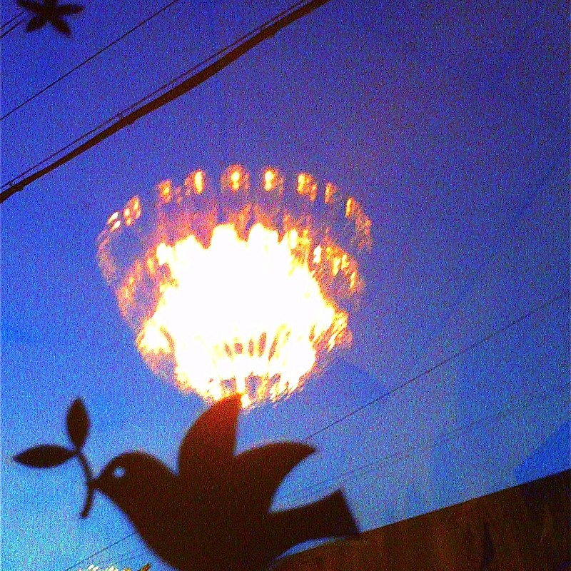 おうちにかえろう。