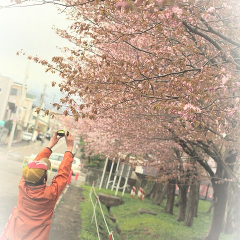 君もフォトグラファー*