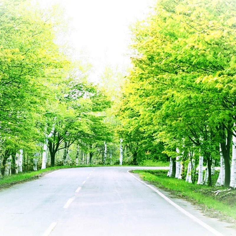 研究林は立ち入り禁止*