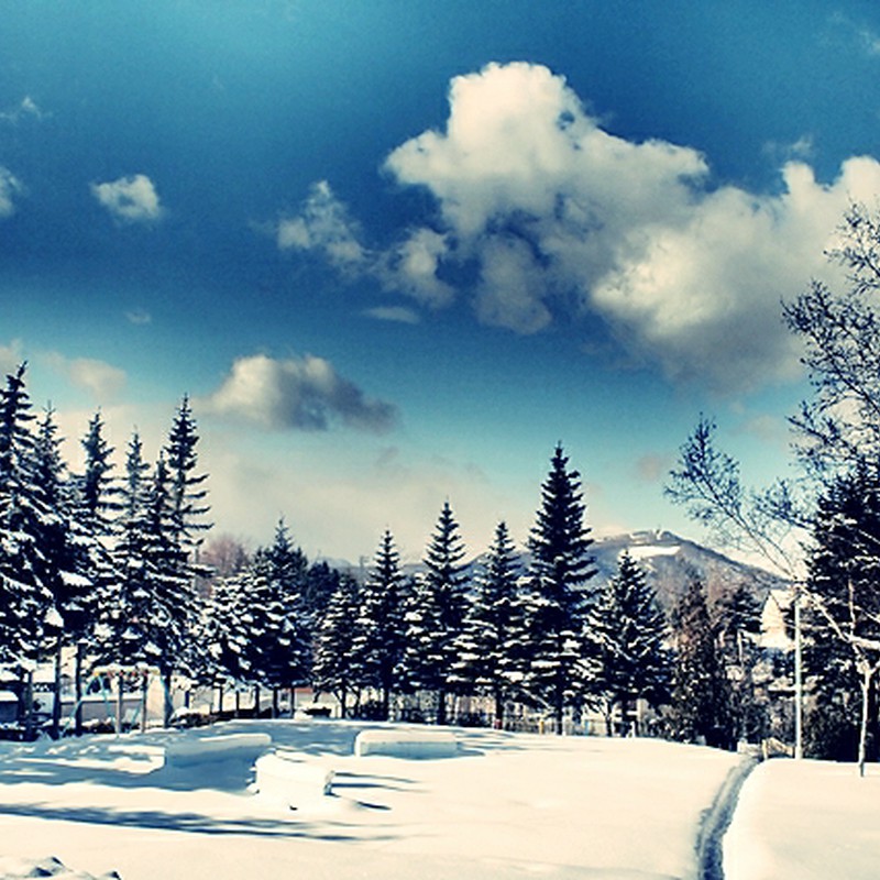 近所の冬の公園*