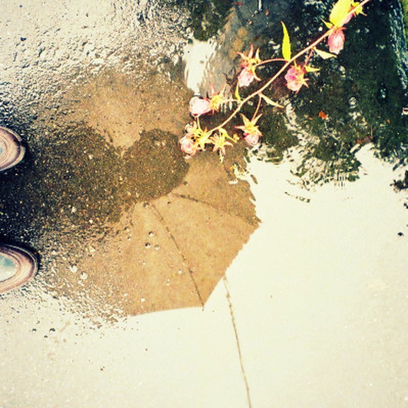 雨の日の・・・花と傘と私と
