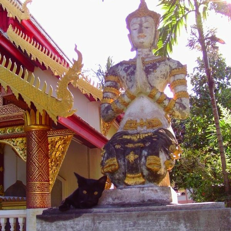 仏像と黒猫